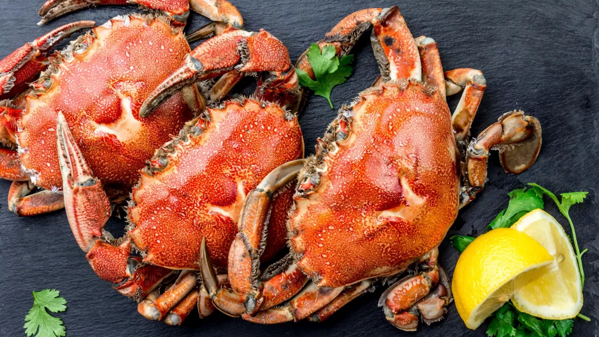 i102024-crabe-nu