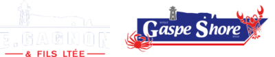 Gagnon et fils